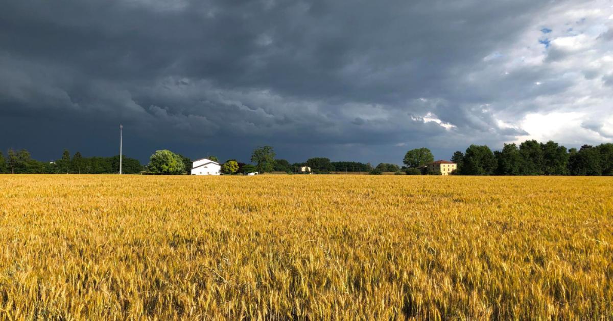 बारिश और आंधी की संभावना